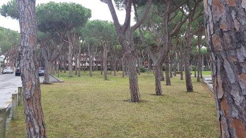 Villa Triana Platja D�aro