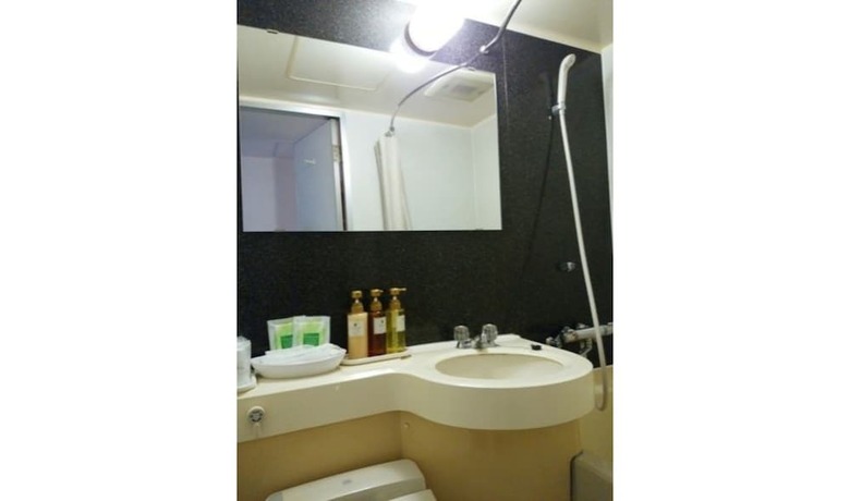 Hotel Ueno First City