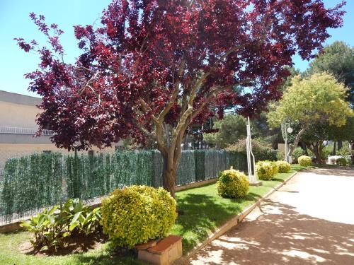 Apartamento Treumal Cala Rovira