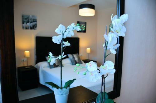 Villa Indigo, Playa Blanca