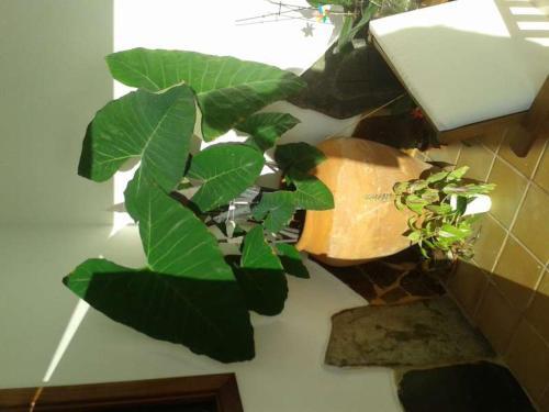 Playa Blanca Villa Sleeps 6 Pool Wifi T691312