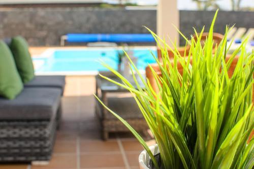 Villa Aguamarina 4