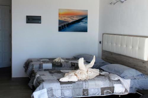 Apartamento Strelizia House