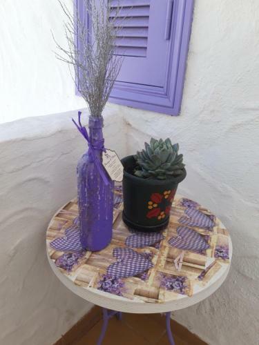 Apartamento Vila Lavanda