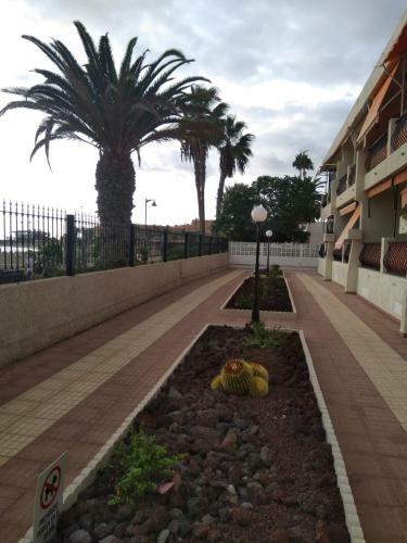 Veramar Sea View Apartment