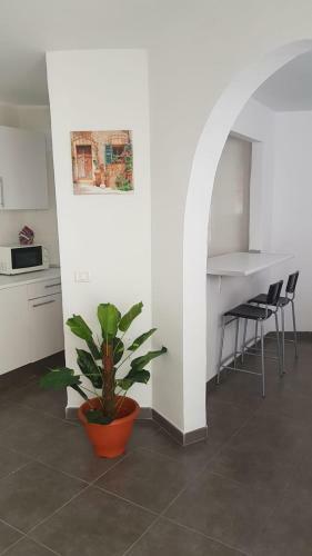 Apartamento Casas Blancas Las Tortugas