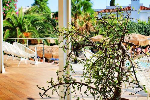Hotel Vista Odin