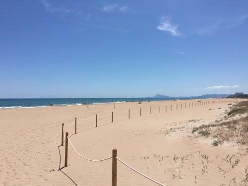Coral Adosado - Junto Al Mar