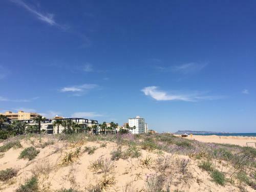 Coral Adosado - Junto Al Mar