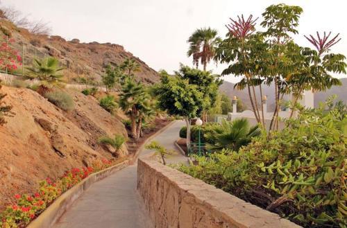 Apartamento Gran Canaria, Playa Del Cura