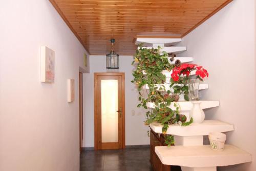 Apartment La Perla I