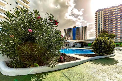 Apartamento ??????????? ? 2-?? ????????? ? Mirador Del Paraiso