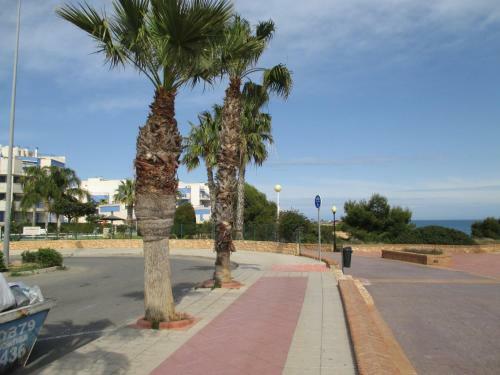 Apartamento Residencia Punta Glea - Cabo Roig
