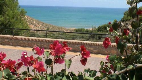 Apartamento Residencia Punta Glea - Cabo Roig
