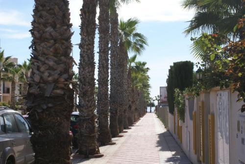 Villa Oriheula Costa Cabo Roig 6