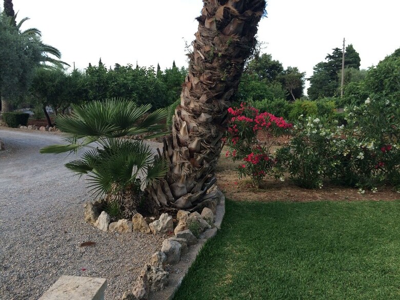Hostal Jard� De Papallones
