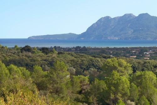 Pollenca Villa Sleeps 9 Pool Air Con Wifi