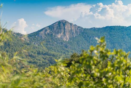 Finca Coster