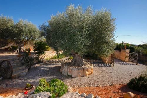 Villa Sweet Home Es Mol�