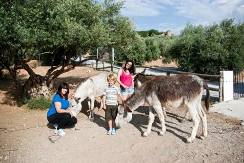Agroturismo Casas Rurales Cazorla-alc�n