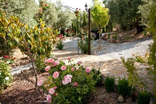 Agroturismo Casas Rurales Cazorla-alc�n