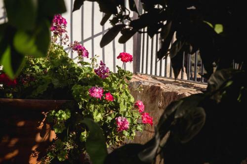 Agroturismo Cortijo La Panadera