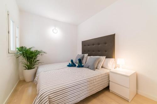 Apartamento Mimosa