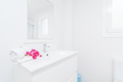 Apartamento Edificio Playa (cirerers)