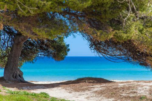 Apartamento Sun Of The Bay 1 (vidalba B3 - A1)