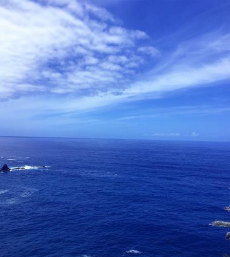 Apartamento Punta Brava