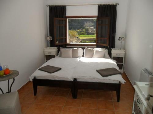 Bed & Breakfast Hostal Villa Primavera
