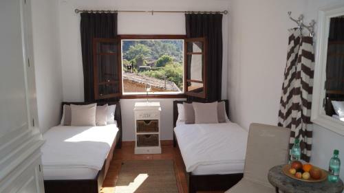 Bed & Breakfast Hostal Villa Primavera