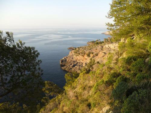 Bed & Breakfast Hostal Villa Primavera