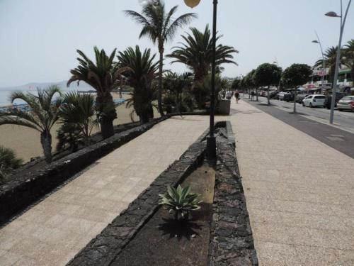 Apartamento Blue Turtle