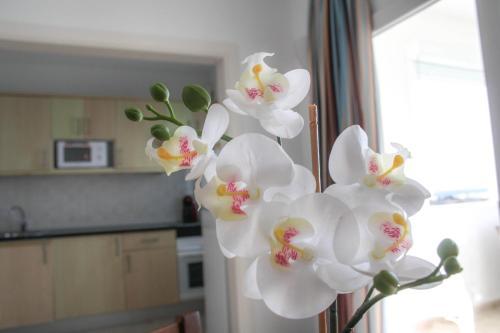 Apartamento Los Claveles