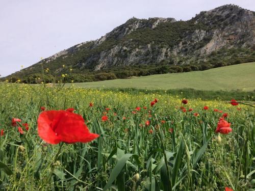 Agroturismo Biznaga