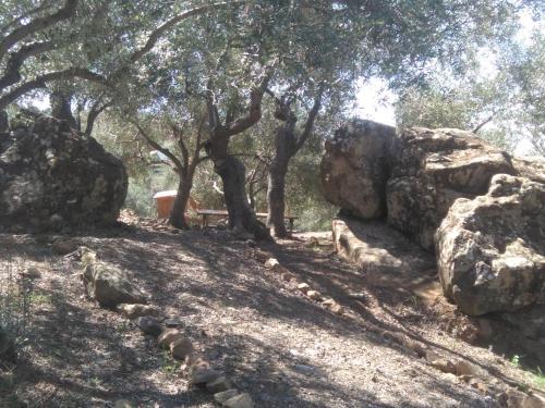 Agroturismo Biznaga