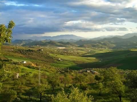 Agroturismo Biznaga