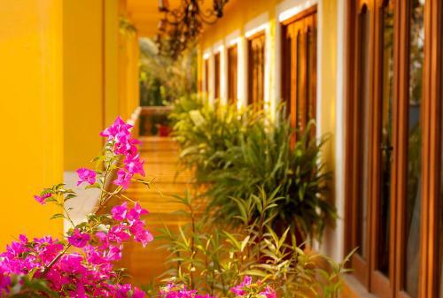 Hotel Encanto Inn & Suites