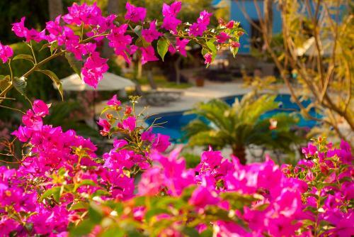 Hotel Encanto Inn & Suites
