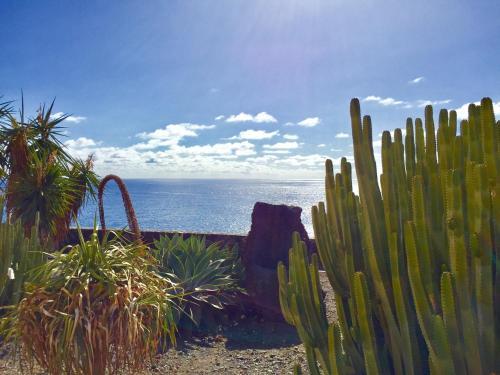 Apartamento La Palma Sunny