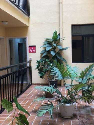 Apartamento Playa - Puerto Naos