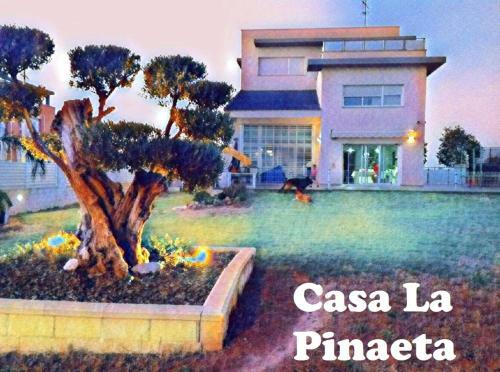 Villa La Pinaeta