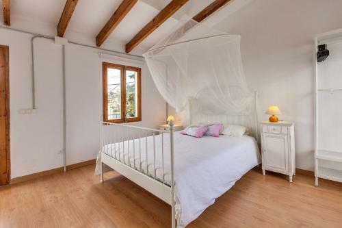 Villa Del Pintor - Galilea