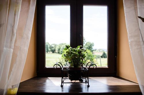 Apartamentos Rurales San Xillao