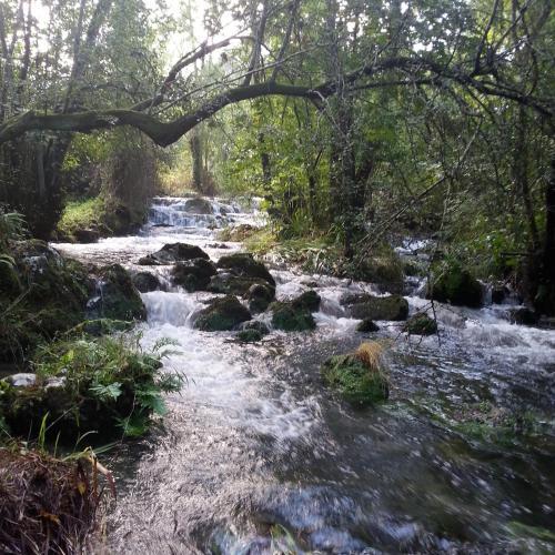 Agroturismo Bajo Los Tilos