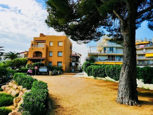 Apartamento Roda De Bara
