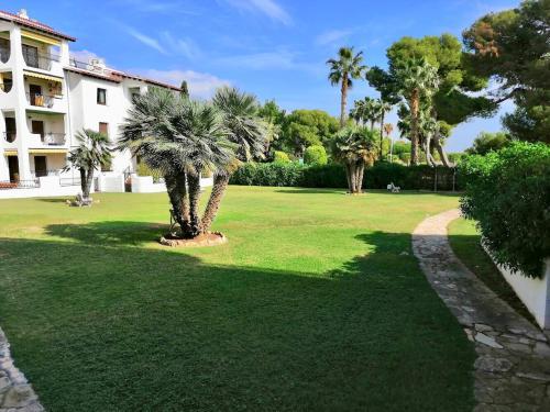 Apartamento Roda De Bara