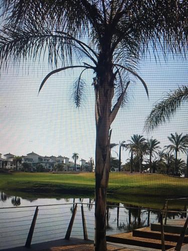 Casa Melita - A Murcia Holiday Rentals Property