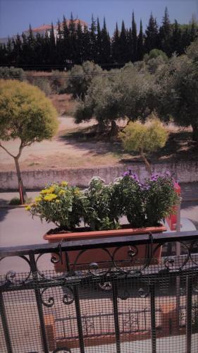 Hostal La Campi�a